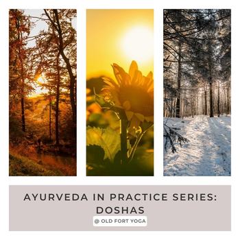 yodel_Ayurveda in Practice Series : Pitta Dosha