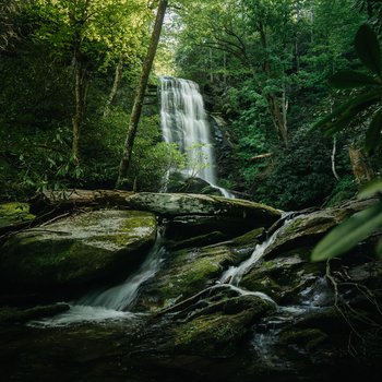 yodel_Catawba Falls 15k