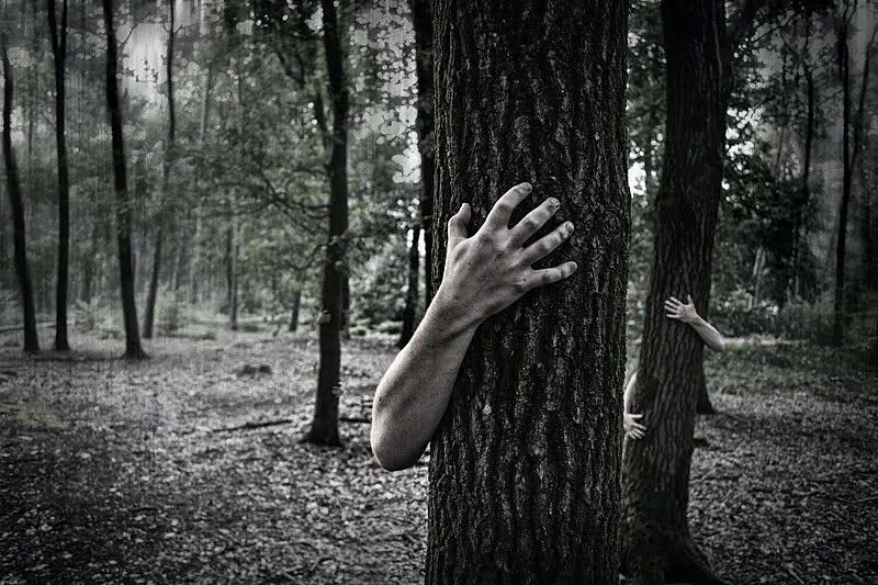 yodel_Haunted Trail & Corn Maze