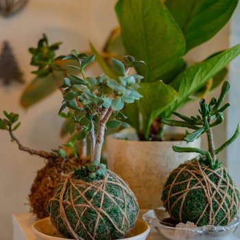 yodel_Kokedama + Soaking Bowl Workshop with Ata + Katie