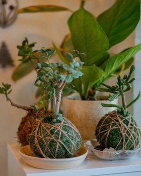 yodel_Kokedama + Soaking Bowl Workshop with Ata + Katie