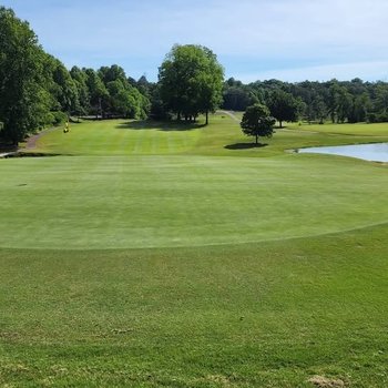 yodel_Ladies Tips & Sips