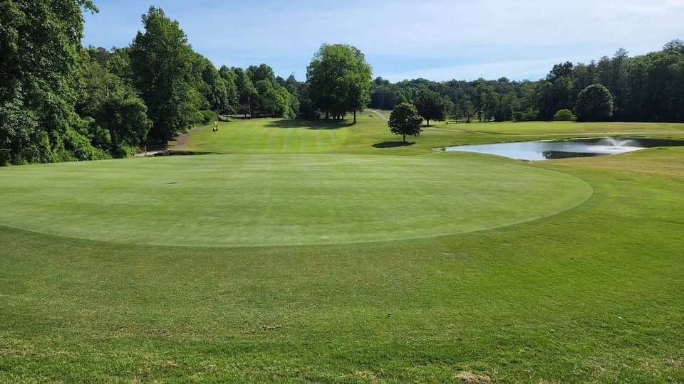 yodel_Ladies Tips & Sips