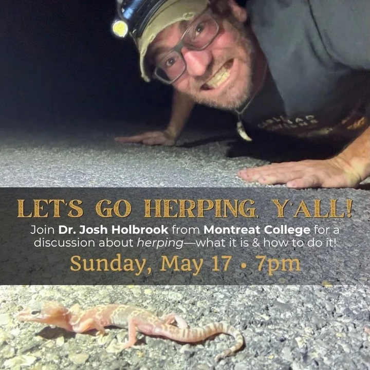 yodel_Let’s Go Herping, Y’all! Teach-In with Dr. Josh Holbrook