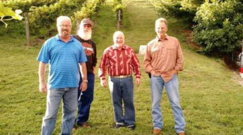 yodel_Live Music: Grape Stomp   Bluegrass Blend