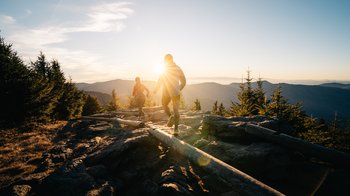 yodel_Mount Mitchell Heartbreaker 50m/55k