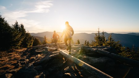 yodel_Mount Mitchell Heartbreaker 50m/55k