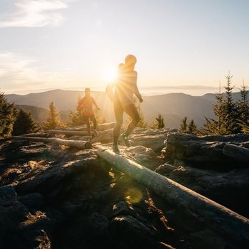 yodel_November 14th,