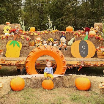 yodel_Pumpkin Patch and Corn Maze