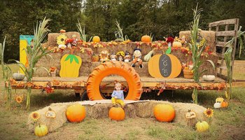 yodel_Pumpkin Patch and Corn Maze
