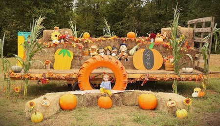 yodel_Pumpkin Patch and Corn Maze