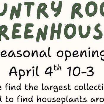 yodel_Seasonal Opening