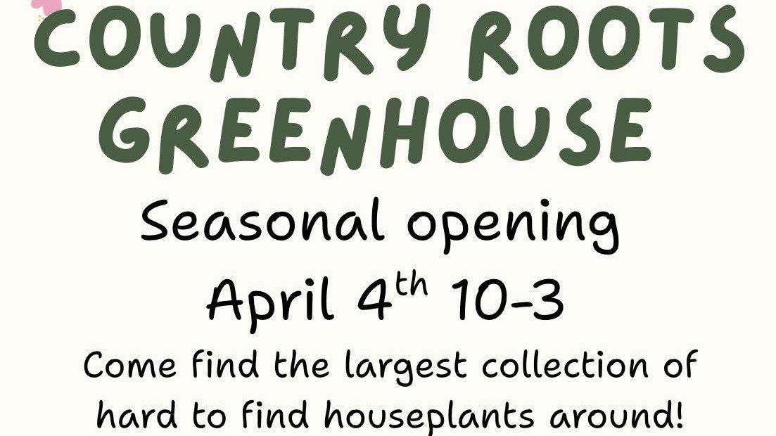 yodel_Seasonal Opening