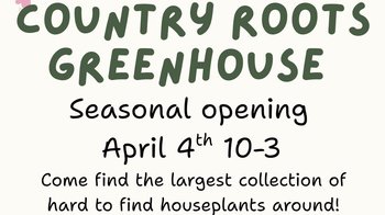 yodel_Seasonal Opening