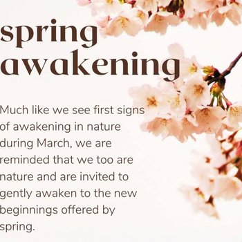 yodel_Seasonal Yin Yoga + Meditation - Gentle