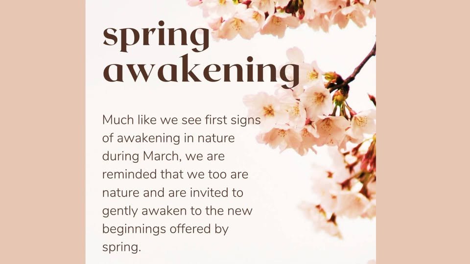 yodel_Seasonal Yin Yoga + Meditation - Gentle