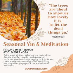 yodel_Seasonal Yin + Meditation